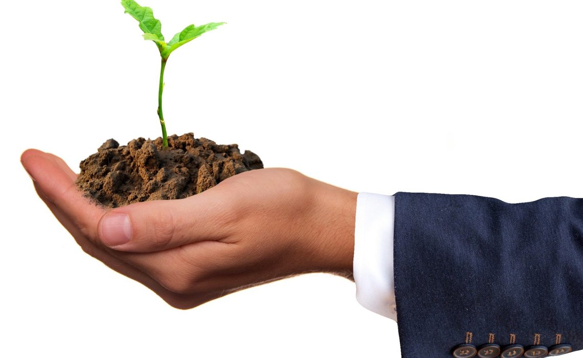 germ-g131cfd33d_1920