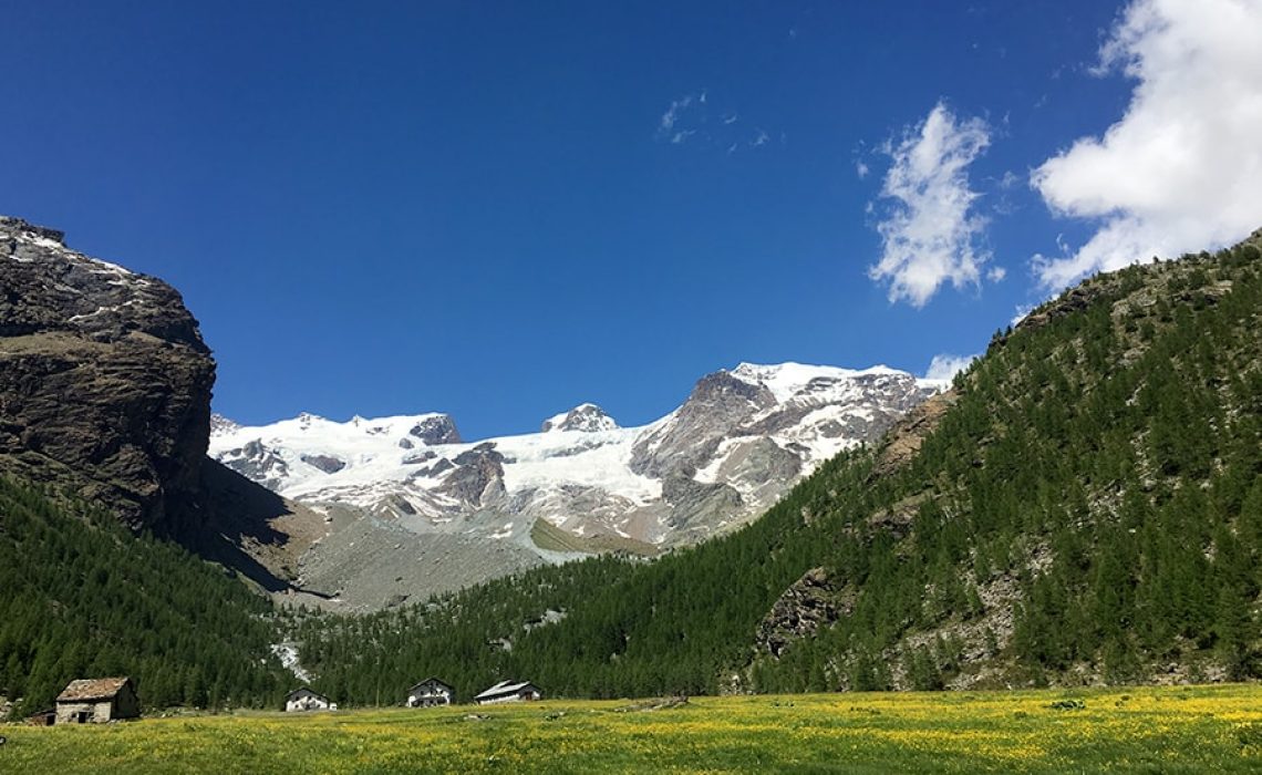 parrocchia-pollone-campi-estivi-min